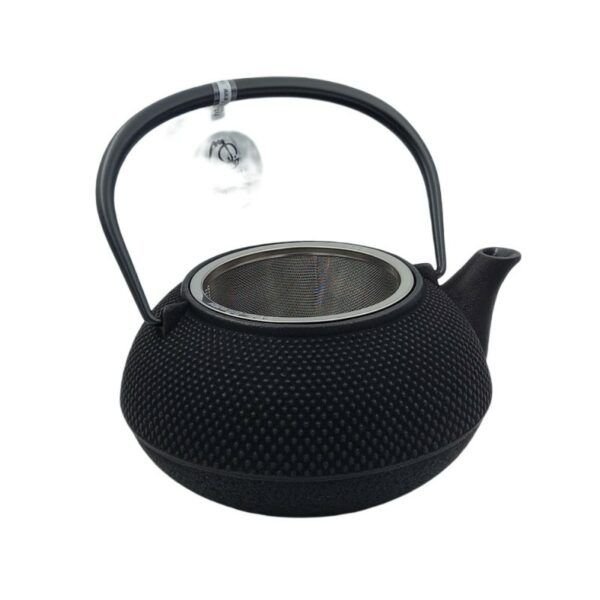 Théière japonaise en fonte Arare 0,8 Litre noire avec filtre