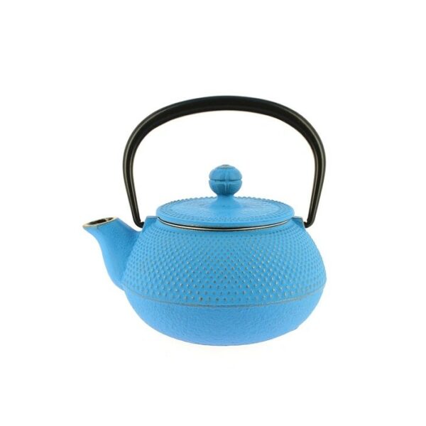 Théière japonaise en fonte Arare 0,3 Litre bleu clair